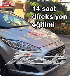 direksiyon