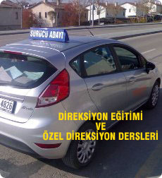 zel direksiyon dersi